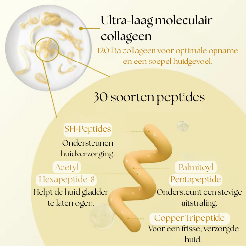 Silk Peptide Glow Ampoule | Zichtbare Glow & Gladdere Huid