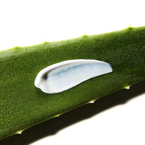 COSRX - Aloe Soothing Sunscreen SPF50+/ PA+++